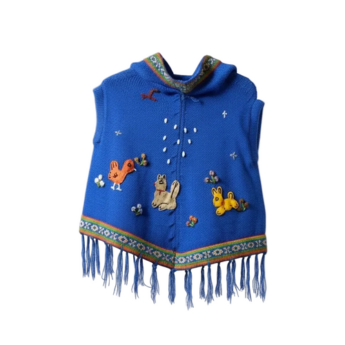 Blue Poncho
